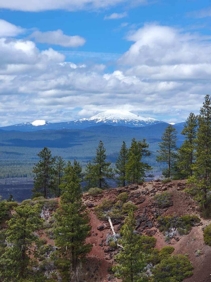 Picture of a mountain in the background and part of the red cinder lava butte in the foreground, topped with pine trees.
